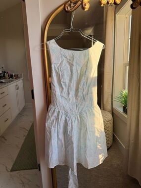 Target Sky Blue Floral Dress with White Accents